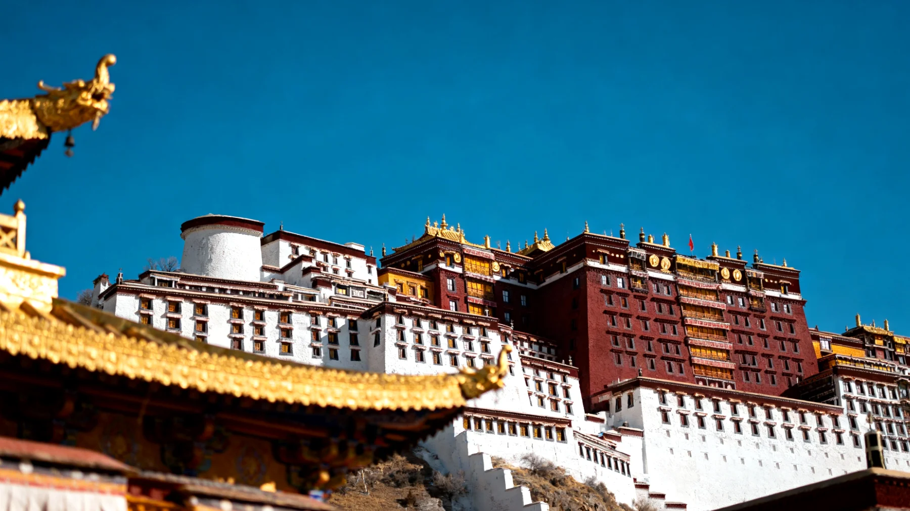 Lhasa"